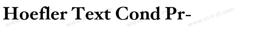 Hoefler Text Cond Pr字体转换